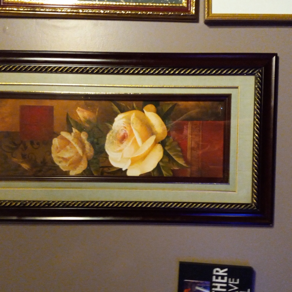 Vintage beautiful rose pictures